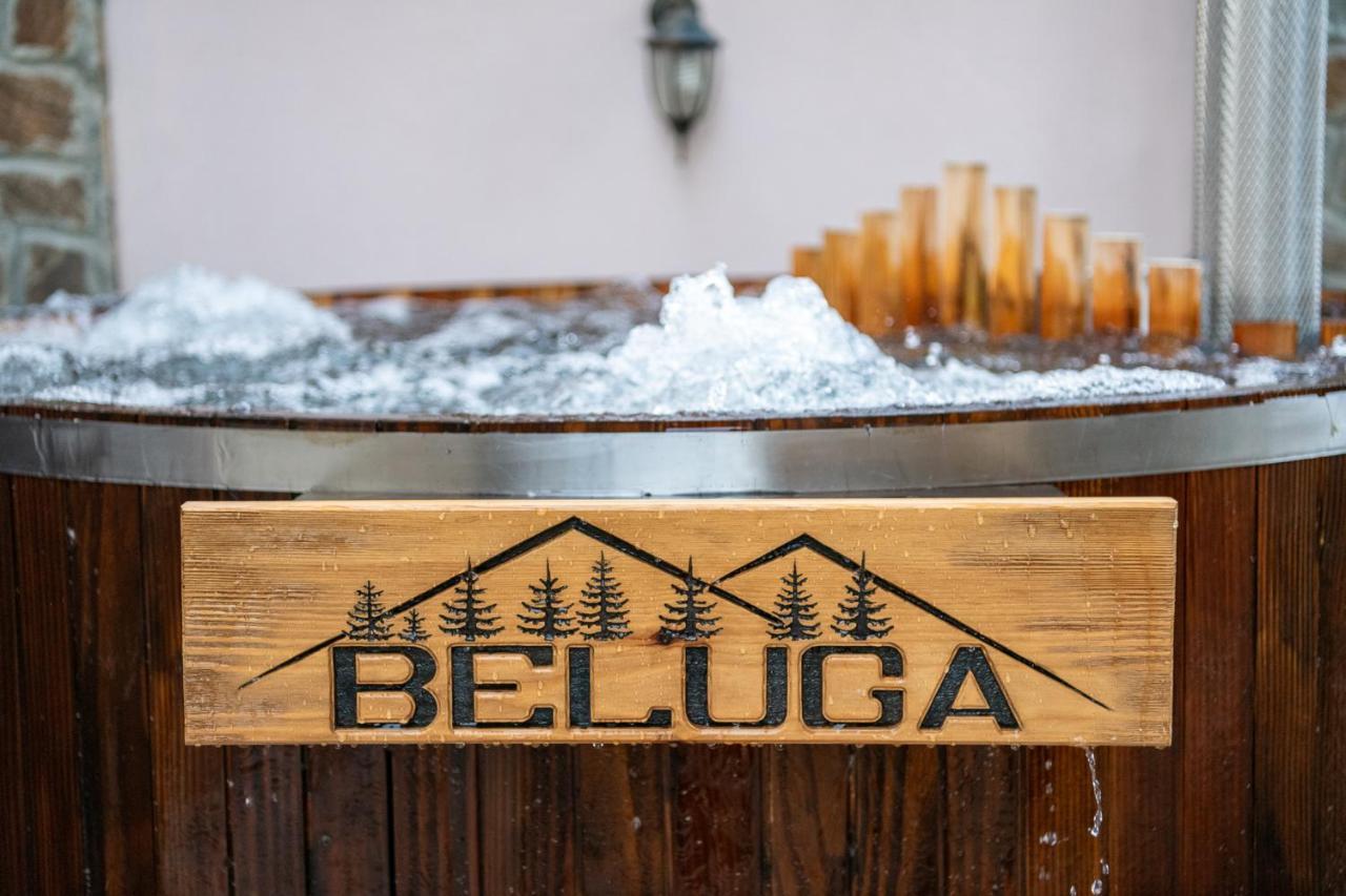 ולינגראד Beluga Guest House מראה חיצוני תמונה